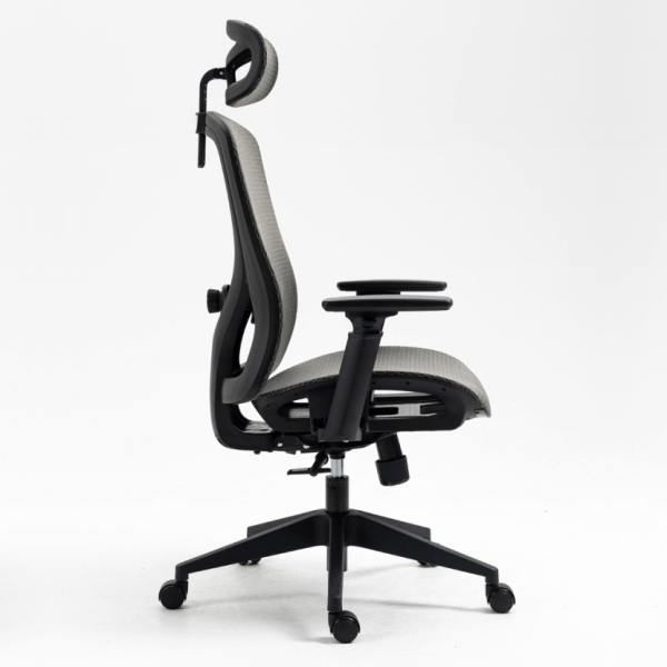 RL-818 (3) RL-818 GR