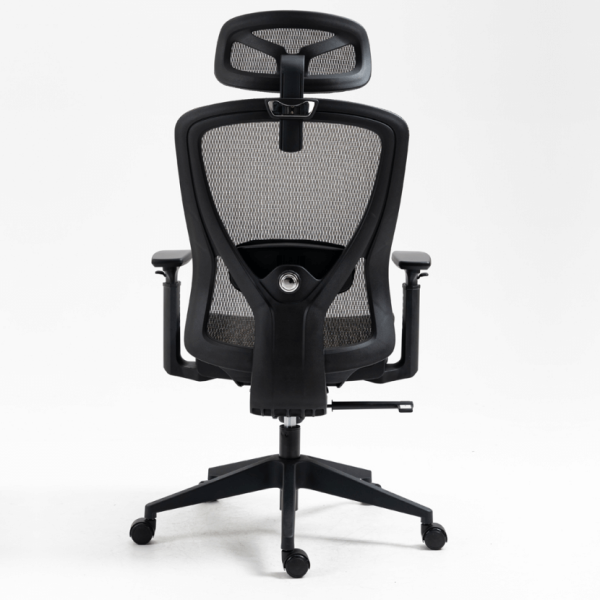 RL-818 (5) RL-818 GR